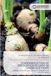 Standardization Ginger Standardization of Fertigation Regimes of Ginger Cultivars: UNDER EASTERN-DRY ZONE OF KARNATAKA STATE, INDIA