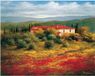 Your Decoration B.V. Kunstdruk Heinz Schölnhammer - Paysage avec coquelicot II 60x50cm
