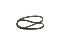 BOSCH Keilrippenriemen 1987947922