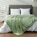 PAVILIA Saliegroen deken Pom Pom Twin Bed Bank Bank, Fleece Zachte Fuzzy Gezellige Lichtgewicht Pompom Fringe Deken, Decoratieve Boho Kamer Home Decor Gift Flanel Fluwelen Gooi, Lichtgroen, 60x80