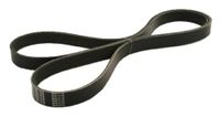 JAPANPARTS JPDV-6PK1710 V-riem