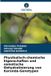 Verlag Unser Wissen Physikalisch-chemische Eigenschaften und osmotische Dehydratisierung von Karonda-Genotypen Paperback