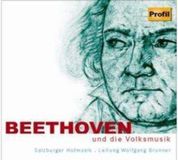 Beethoven Salzburger Hofmusik, Wolfgang Brunner - Beethoven Und Die Volksmusik (CD)