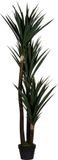Paperflow Kunstplant - Yucca, Hoogte: 60 cm