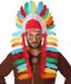 Merkloos Atosa Carnaval verkleed indianen tooi - multi kleur veren - voor heren