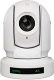 BirdDog P400W Dome IP-beveiligingscamera Wit