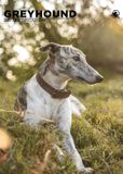 CalendarsRUs Greyhound A3 Kalender 2027