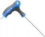Hoegert Clé Torx de sécurité T15 Long - Acier S2 de qualité