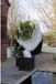 Nature Winterbeschermingsvlies, 30 g/m², 2 x 10 meter, wit, polypropyleen