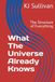 What The Universe Already Knows: The Structure of Everything