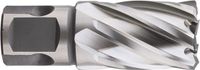Rotec HSS-XE kernboor, 'Silver Line', Weldon 19, ø21x30