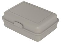 Icecat Lunchbox "School-Box" grand - Boîte à lunch durable en canne à sucre - Boîte à pain idéale pour enfants et adultes - brun noisette