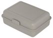 Icecat Lunchbox "School-Box" grand - Boîte à lunch durable en canne à sucre - Boîte à pain idéale pour enfants et adultes - brun noisette
