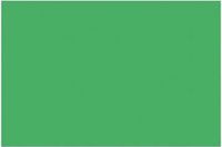 Folia Tekenpapier A4 smaragd - groen 130grs pak 100 vel