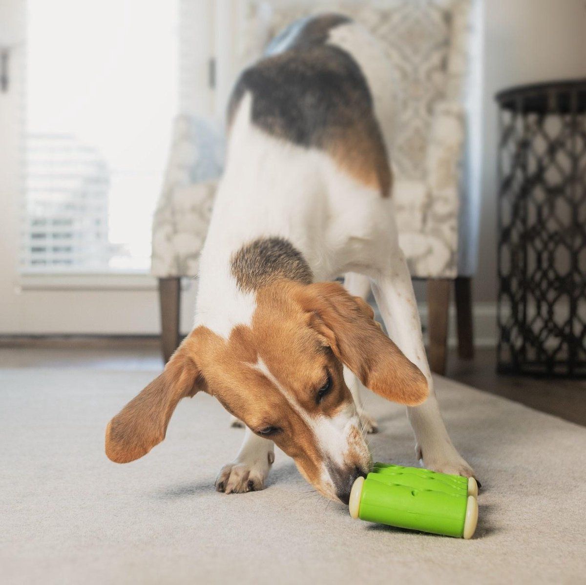 PETSAFE Ribinator Interactieve Hondenspeelgoed - Medium