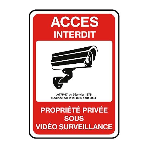 Ambiance Sticker Vinyl Sticker - Waterbestendig - UV-bescherming - 30 x 21 cm - Privé-eigendom - Onder videobewaking - Verboden toegang