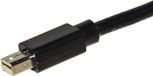 Adapter Link Accessori LKADAT123 0,15 m Mini DisplayPort HDMI Zwart