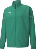 Puma Teamrise Trainingsvest Heren - Groen