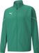 Puma Teamrise Trainingsvest Heren - Groen