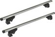 Renault Porte-bagages/barres de toit VDP LION2 compatible avec Scenic III (5 portes) 13-16