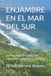 ENJAMBRE Independently Published Enjambre En El Mar del Sur: La Filosofï¿½a de la Universidad Intercultural. Una novela territorial Paperback