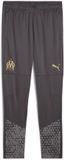 PUMA SE Trainingsbroek Olympique Lyon Heren Zwart Polyester S
