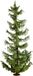 Noch Sparrenhout, Modelboom 22 cm Hoog