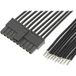 Molex 2147511103 Female behuizing (kabel) Totaal aantal polen: 10 Inhoud: 1 stuk(s) Piece