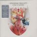 Universal Music Spandau Ballet - Once More