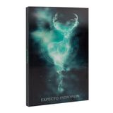 Harry Potter Patronus A5 Notebook Hardback - Lined Journal Note Book, Lined Notebook A5 Sketchbook | Harry Potter Stationery, Lenticular 3D Cover Effect