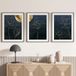 Lot de 3 affiches / posters triptyque - fleurs - 3 affiches - 70x100 cm (cadres non fournis) - bordure blanche