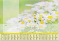 Sigel designonderlegger - papier - Lovely Daisies - A2