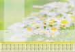 Sigel designonderlegger - papier - Lovely Daisies - A2