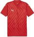 Puma TeamGLORY Jersey 705740
