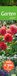 times&more Garten Langplaner 2027
