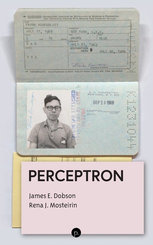 Perceptron Paperback Reina E Mosteirin 20 november 2025