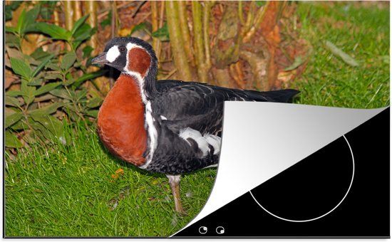 KitchenYeah® Inductie beschermer 77x51 cm - Roodhalsgans in een grasveld - Inductie kookplaat accessoire
