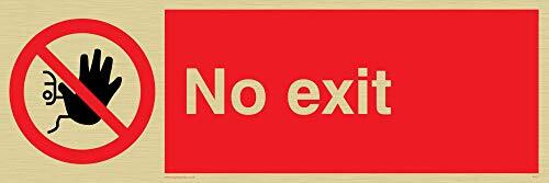 Viking Signs Viking Signs PA27-L31-G "No Exit" signaal, goud kunststof, stijf, 100 mm H x 300 mm W