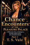 Chance Encounters at the Pleasure Palace: A Billionaire's Story of Indulgence, Sexually Explicit Desire, and a Decadent Lifestyle