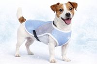 Flamingo Koeljas hond - M - 35 cm - Blauw & Grijs