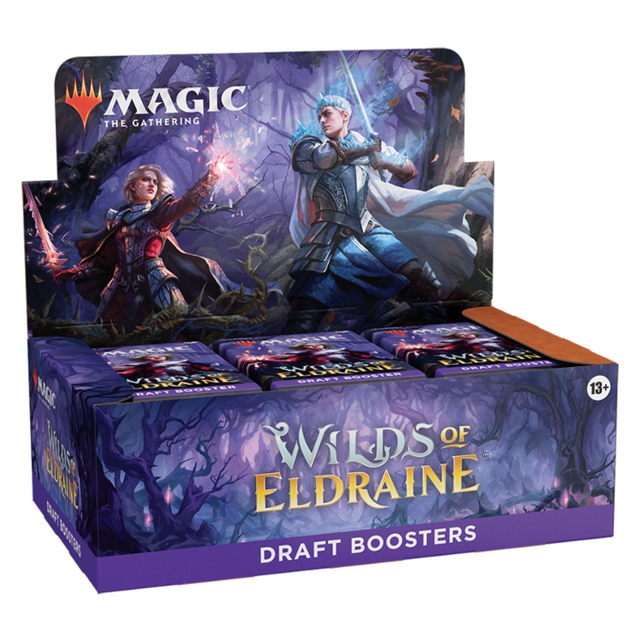 Wizards of the Coast Magic The Gathering - Wilds of Eldraine Draft Boosterbox