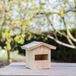 CJ Wildlife Kids Bouwpakket Nestkast Nell