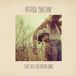 That Patrick Sweany That Old Southern Drag