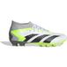Adidas Voetbalschoenen Predator Accuracy.2 MG