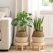 Maison Exclusive - Jardinières avec poignées, lot de 2. Blanc, diamètre 22 cm, hauteur 20 cm. 100% algue marine