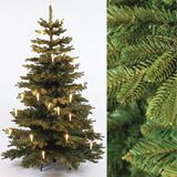 Christmas1967 Oud Welgelegen B.V. Levensechte Nordmann Kerstboom 180 cm