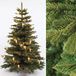 Christmas1967 Oud Welgelegen B.V. Levensechte Nordmann Kerstboom 180 cm