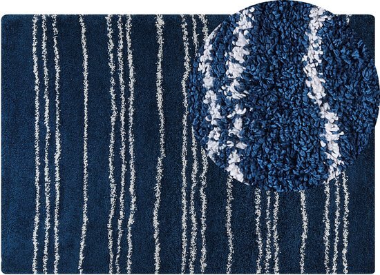 TASHIR - Shaggy tapijt - Blauw - 160 x 230 cm - Polypropyleen
