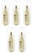 Merkloos / Sans marque Makito Western Europe (mkto) Set van 5x stuks wijnfles koeltas 25 cm