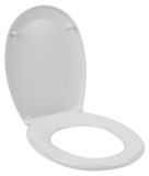 Beldray LA030252UFEU7 Antibac Duroplastic Seat, Treated With Silver Phosphate To Prevent Bacteria Build Up, Easy Clean Surface, Soft Close Zinc Alloy Hinges, Fits Most Standard Toilets, White